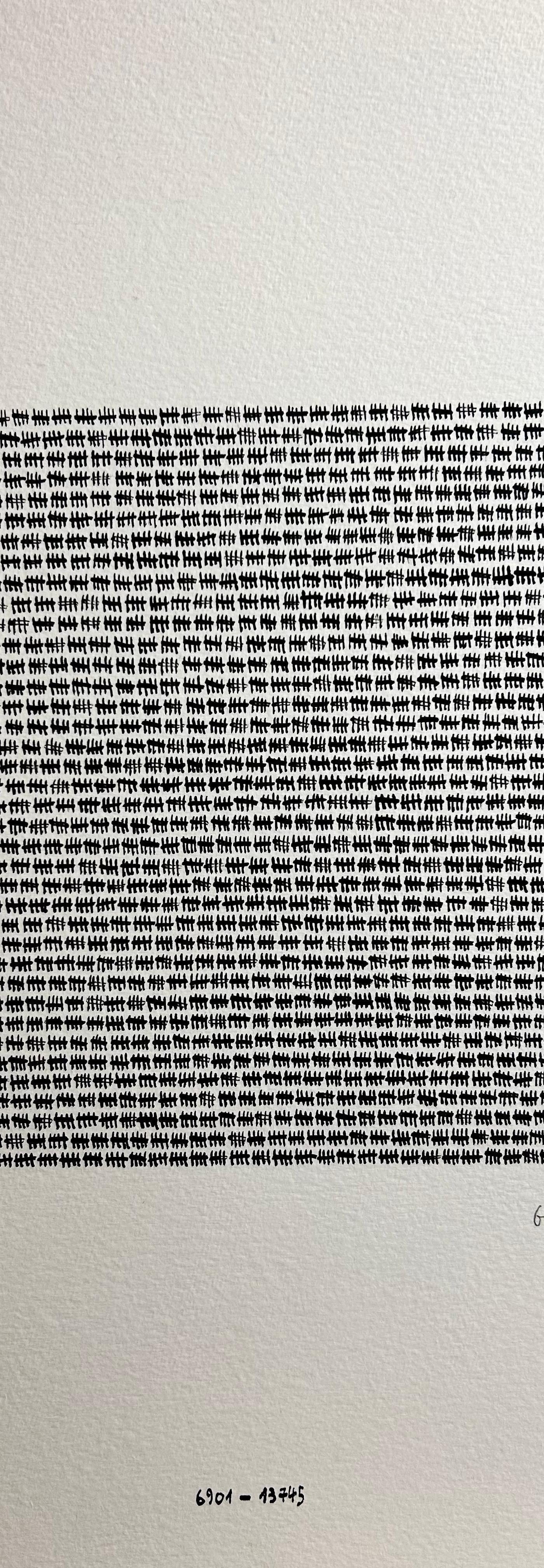 2023/50 - sans titre