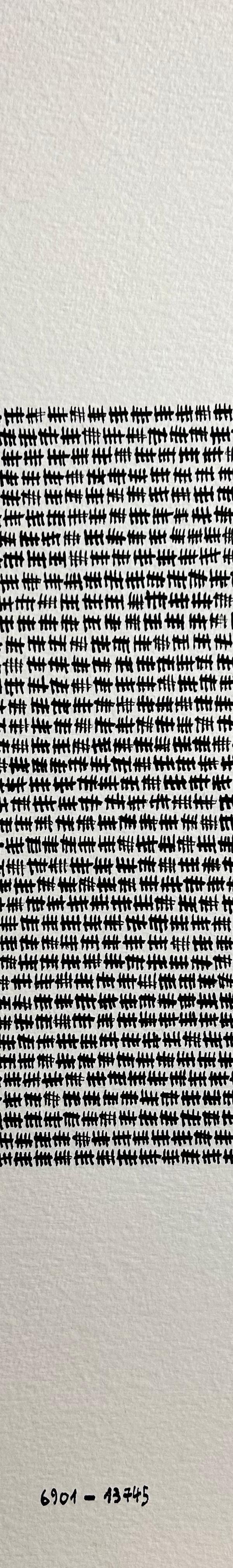 2023/50 - sans titre