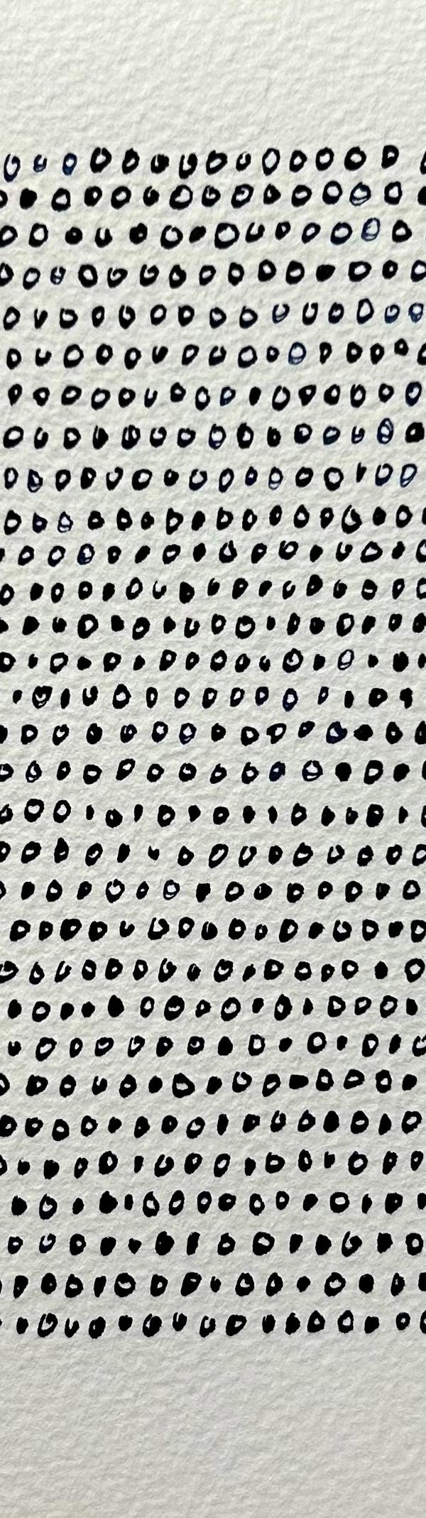 2023/85 - sans titre