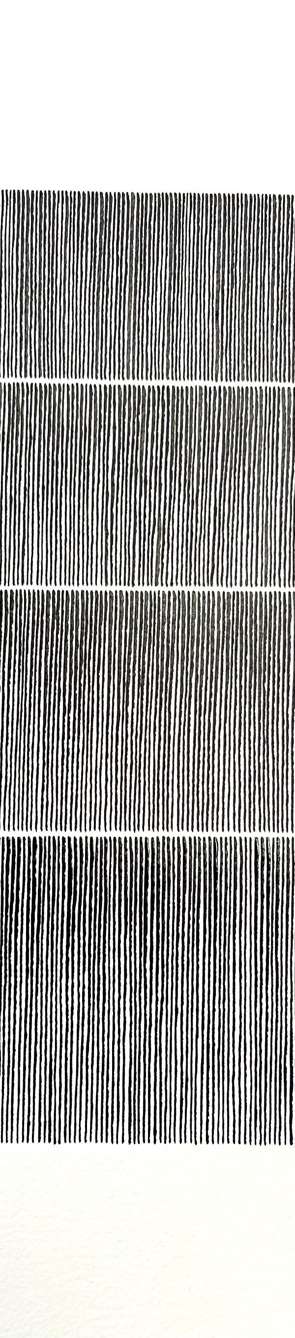 2024/12 - sans titre