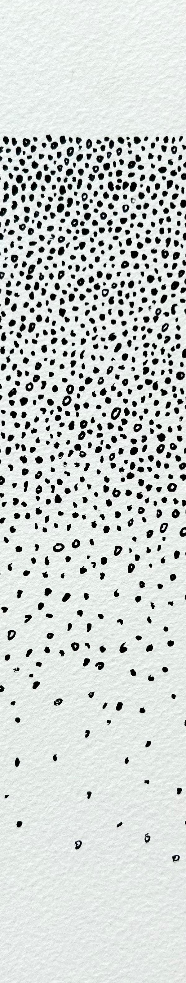 2024/39 - sans titre