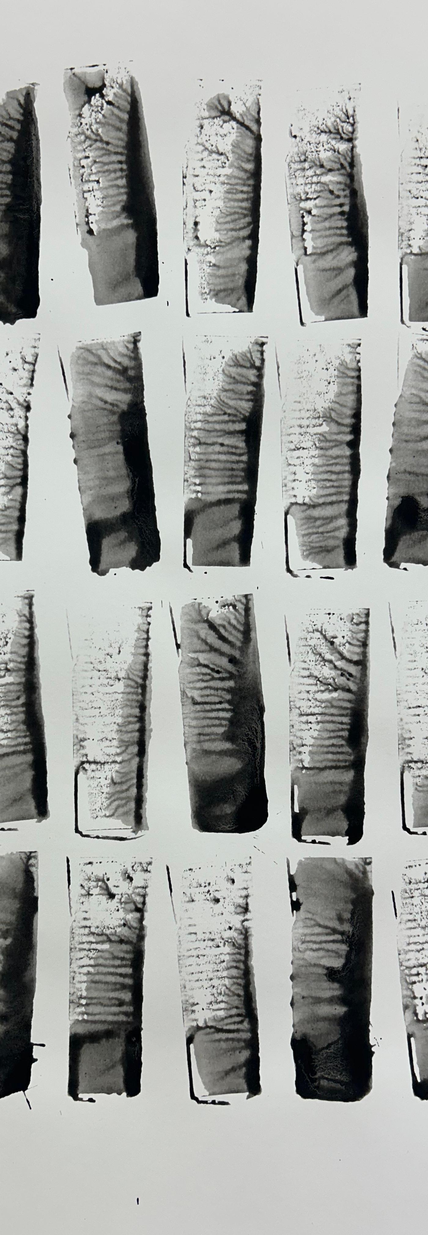 2024/46 - sans titre