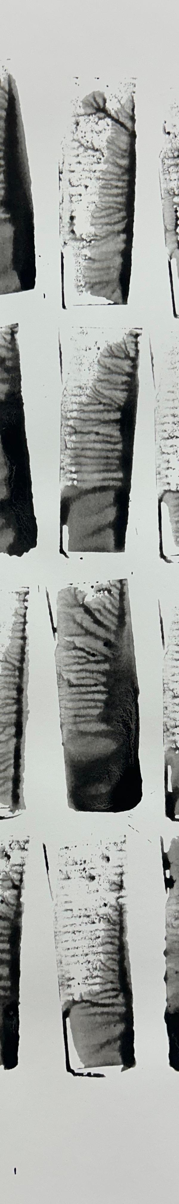 2024/46 - sans titre