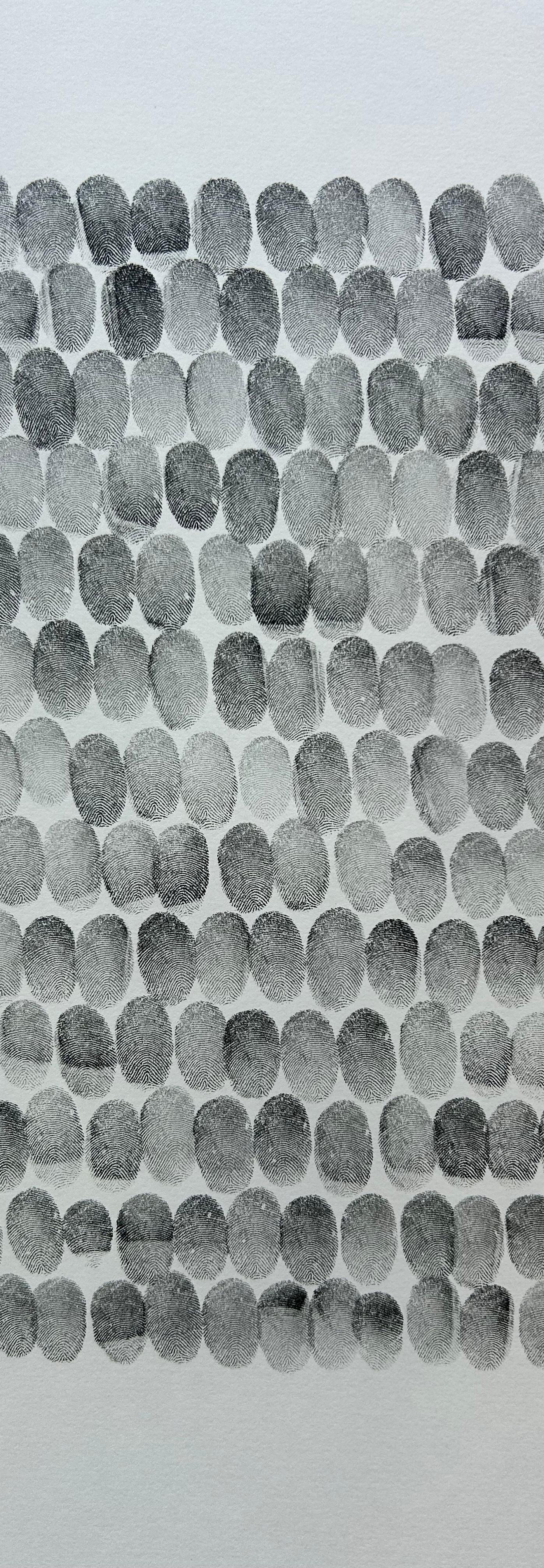 2025/41 - sans titre