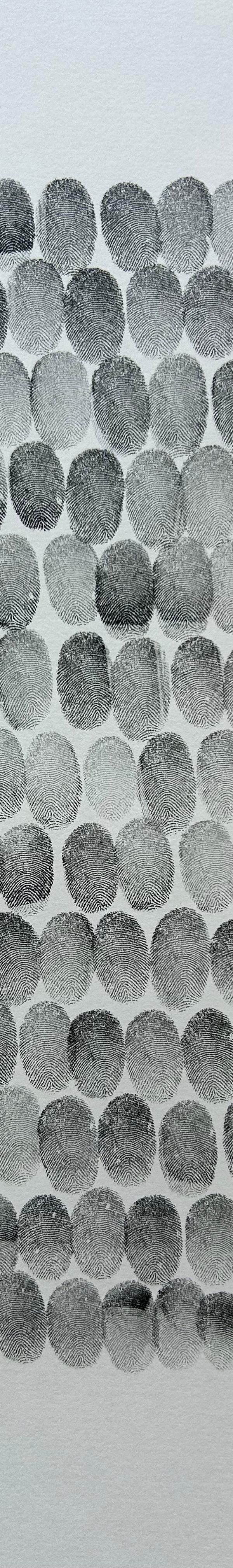 2025/41 - sans titre