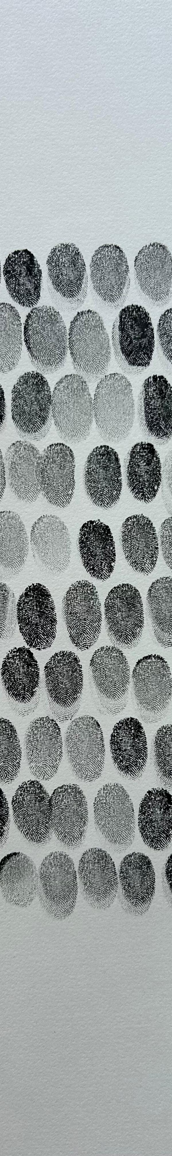 2025/42 - sans titre