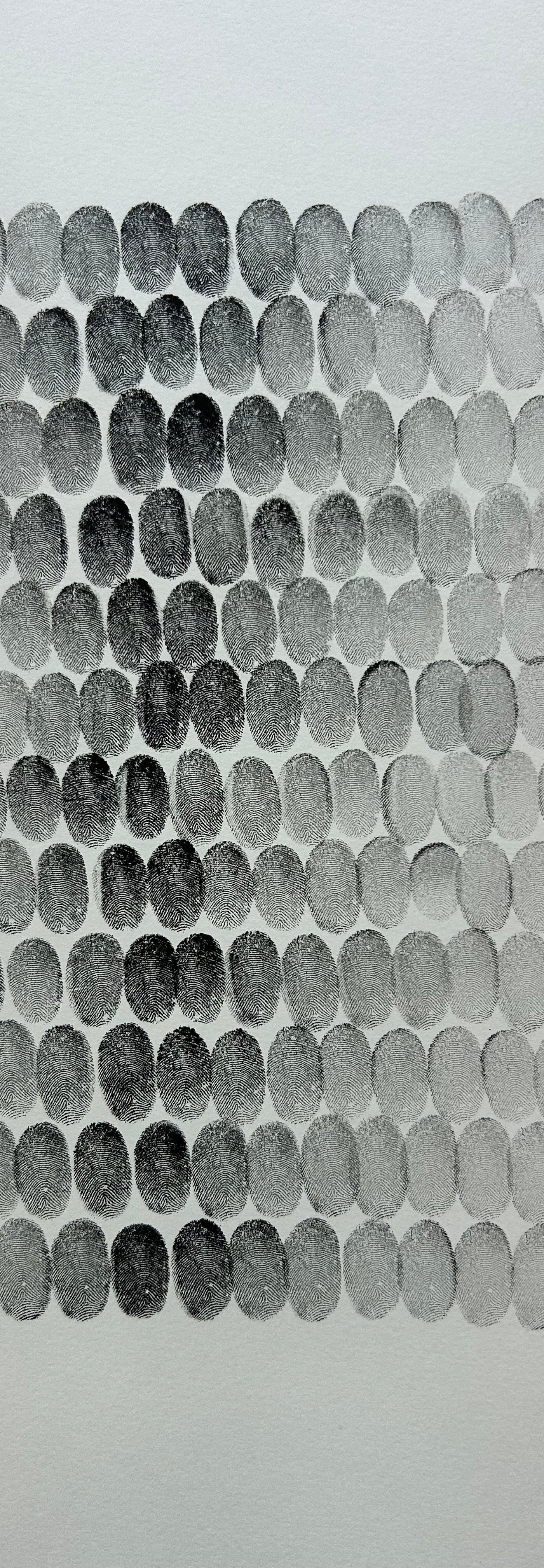 2025/44 - sans titre