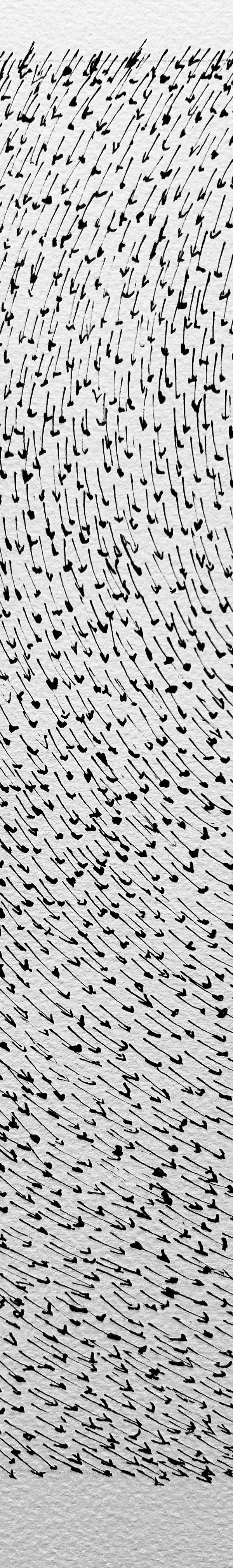 2025/47 - sans titre