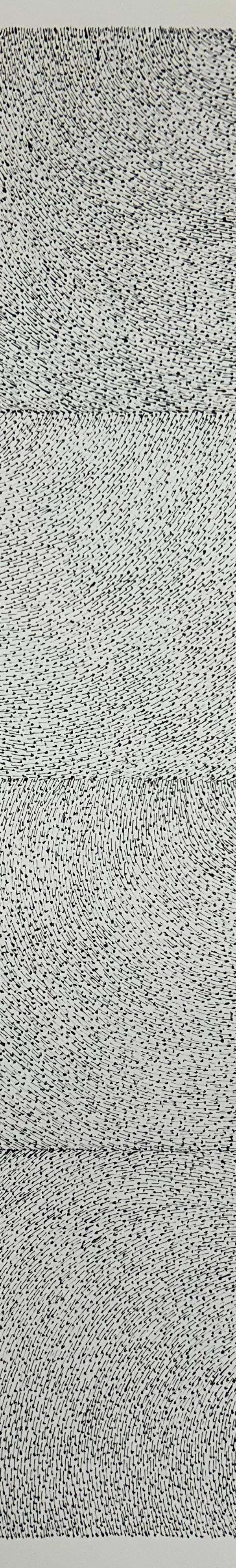 2025/50 - sans titre