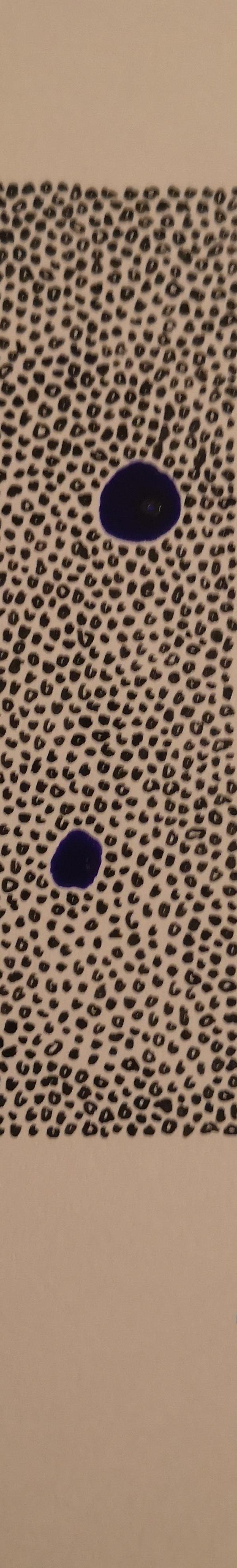 Carnets d’Hydra (10)