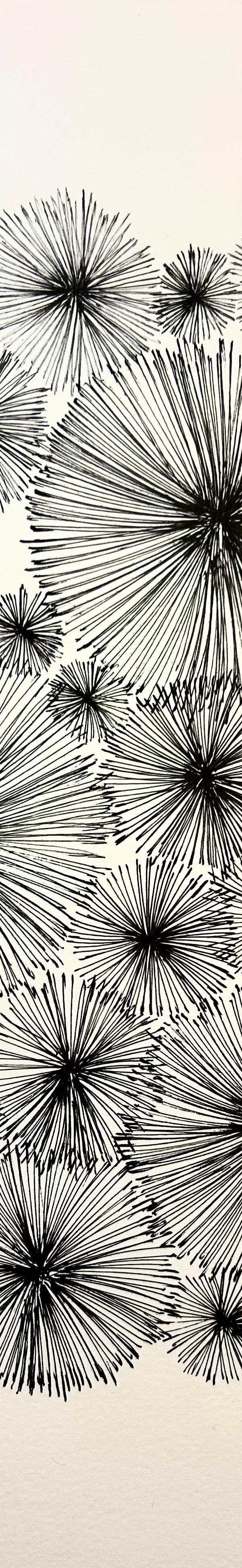 2023/48 - sans titre